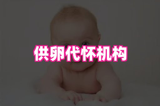 潍坊助孕网 4